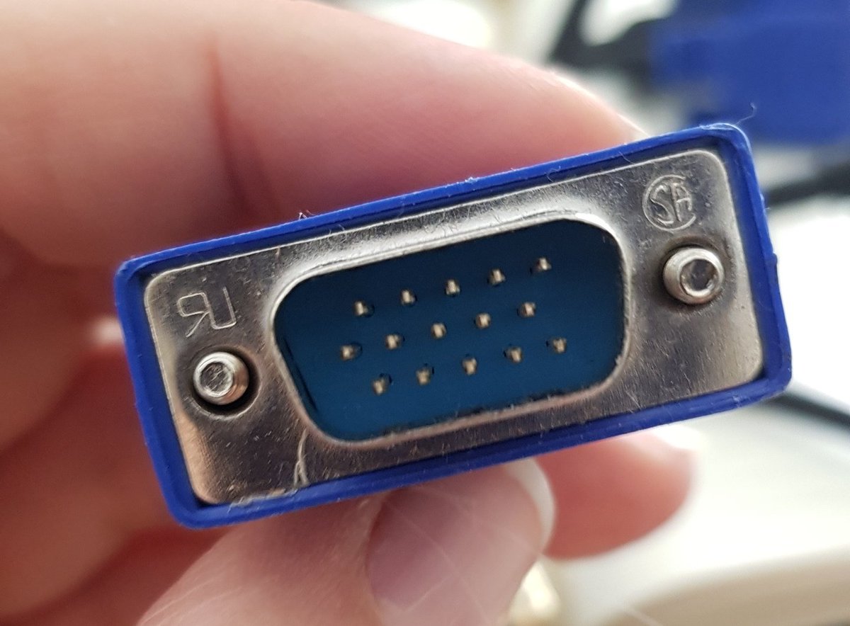 Real Life Pferdemädchen 📯 tweet media