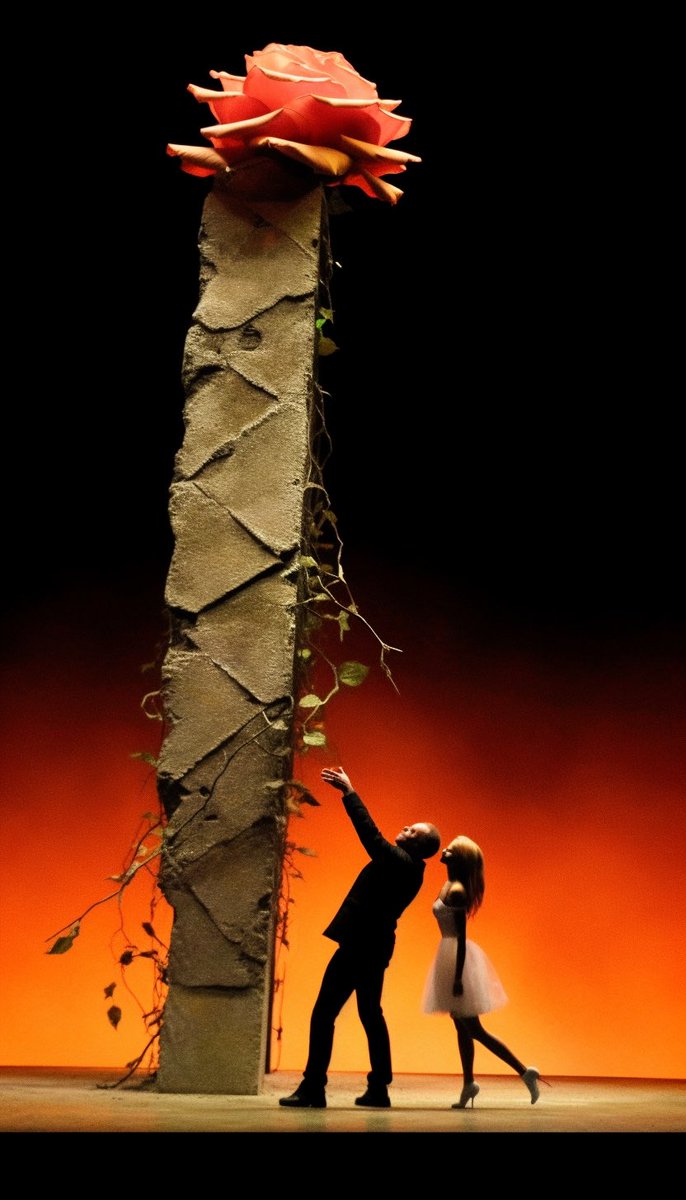 Pursuing the rose, surmounting towering challenges