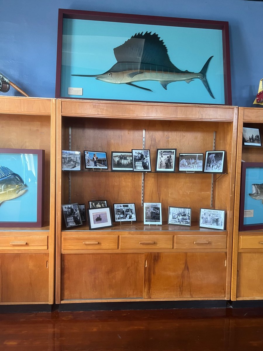 Museum of FL History tweet media