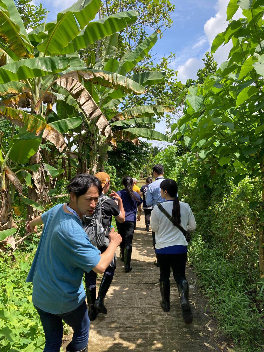 当学で取得できるDTM&amp;H(Diploma in Tropical Medicine &amp; Hygiene)の一環である、フィリピン熱帯医学コースが終わりました。
今年はマニラとレイテ島での2週間！
世界中から集まったアツい講師陣&amp;参加者と真剣に学んで楽しむ素晴らしい時間でした🏝️
興味のある方はぜひ！
tmgh.nagasaki-u.ac.jp/short-courses/…