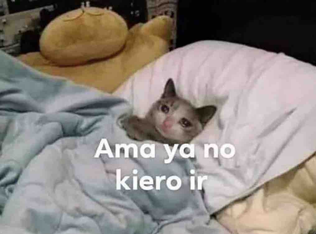 Guarromantico_'s tweet photo. Cuando me tengo que levantar para trabajar y ser un adulto responsable: https://t.co/5ZkkMsU8jB