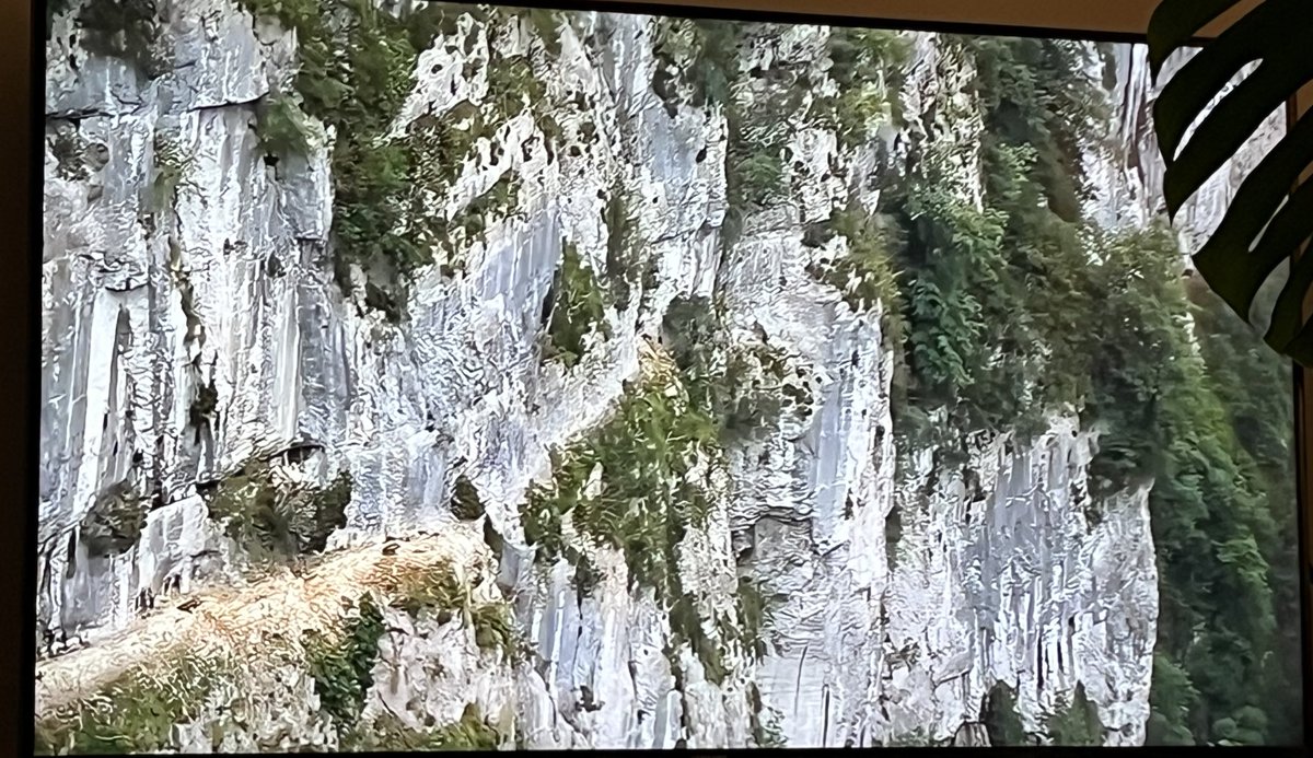 Yes give me #tourvultures at any day! #sbstdf #couchpeloton