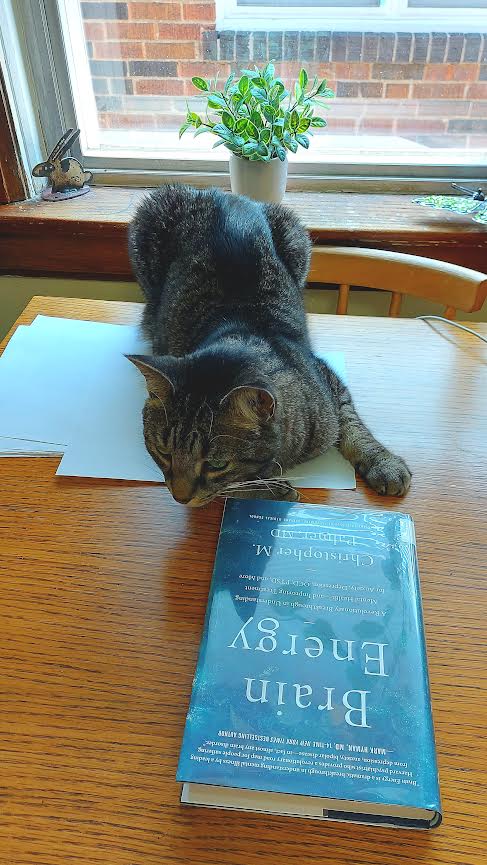 BobCatPlay's tweet photo. Catching up on my summer reading! Because I am such a lovebug, naturally I love romance novels. Then I will tackle this book on increasing brain power. It will help me in my quest for world domination and unlimited treats!
#ReadingWithCats #FloofyFursday #CatWorldDomination https://t.co/kqwbbkkjhy