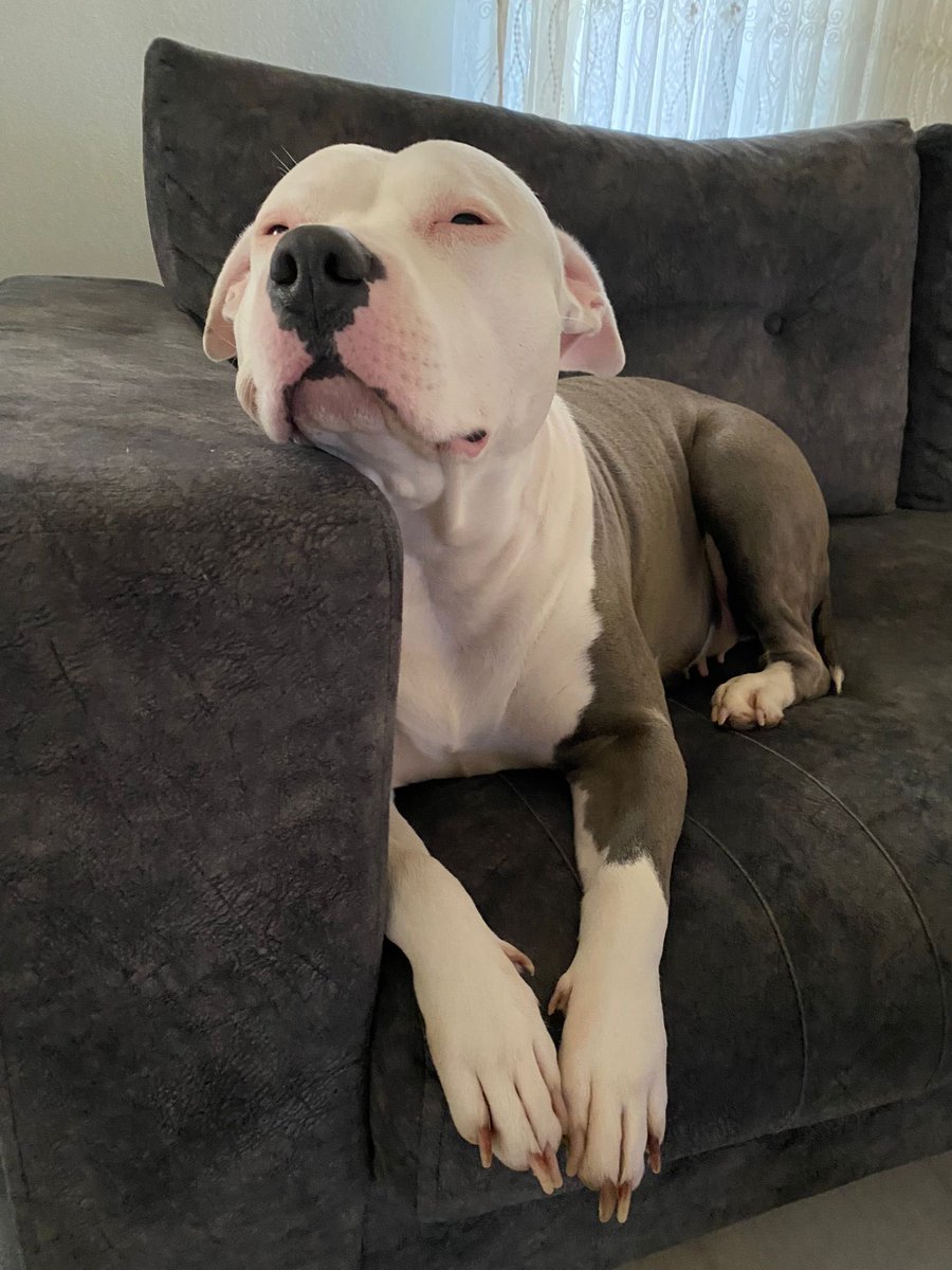 Baileysthepit's tweet photo. Amam güsel yavas yürü düşersim https://t.co/o2DNr1Zvnm
