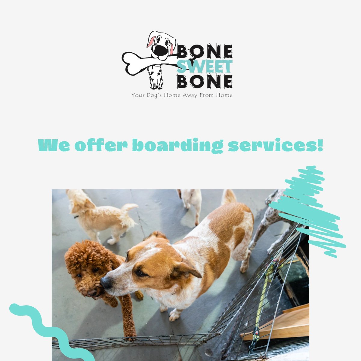 BSBlovesdogs's tweet photo. During their stay, dogs interact and socialize with other dogs, receive personal attention from our staff, and get plenty of opportunity to exercise in a cage-free environment. Give us a call to make your reservation today: (818) 985-2663.

#BoneSweetBone #StudioCity https://t.co/wSAj7T9163