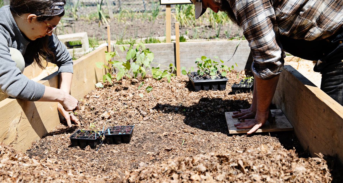 Join us for the Grand Opening of the Community Garden on Tue, Jul 11 at 6:30 pm! Explore the vibrant green space and learn sustainable gardening practices.
Directions: Mulock Drive to Fernbank Road, follow to the farmhouse, free parking. Walk up the hill to join the celebration!