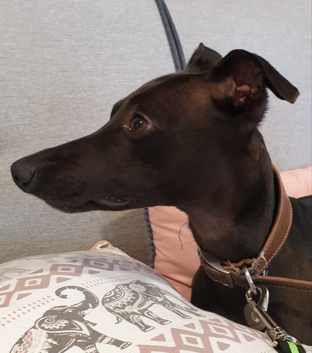 An attentive audience today at our session for ETCH on finding funding and bid writing at the fabulous House Of Foliage in #Redcar.