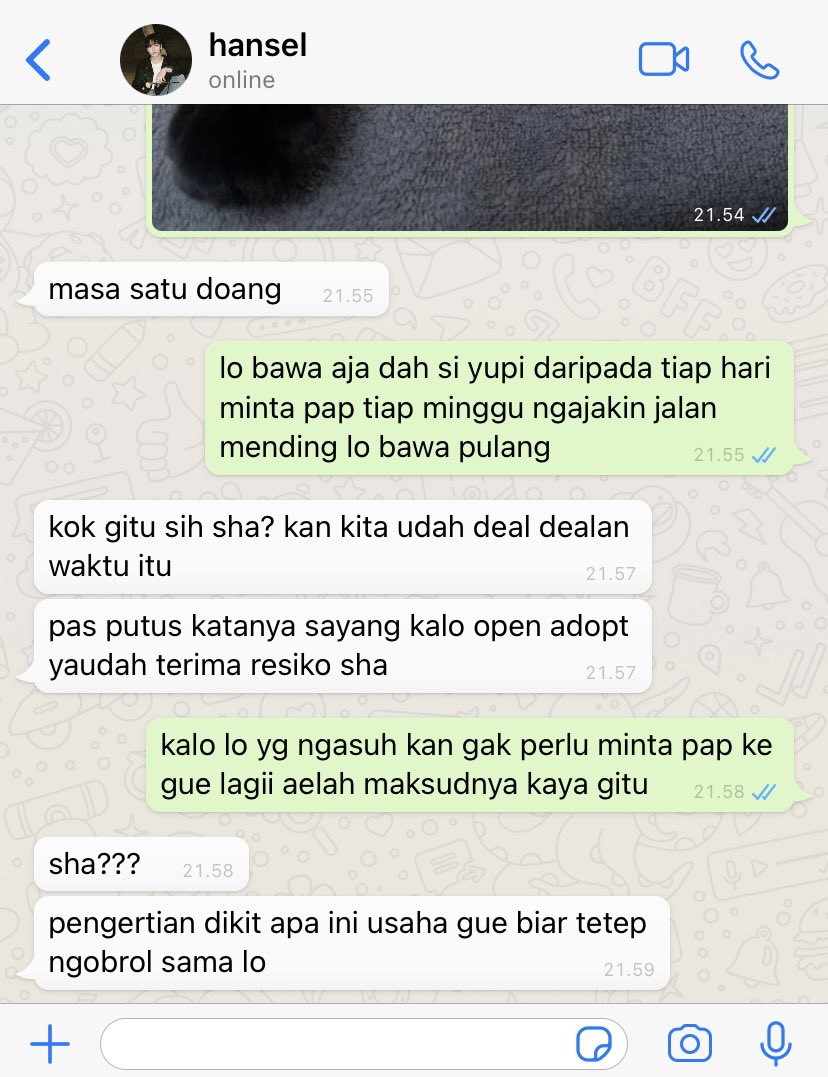 gialleries's tweet image. cat parents 
vernon three tweets au