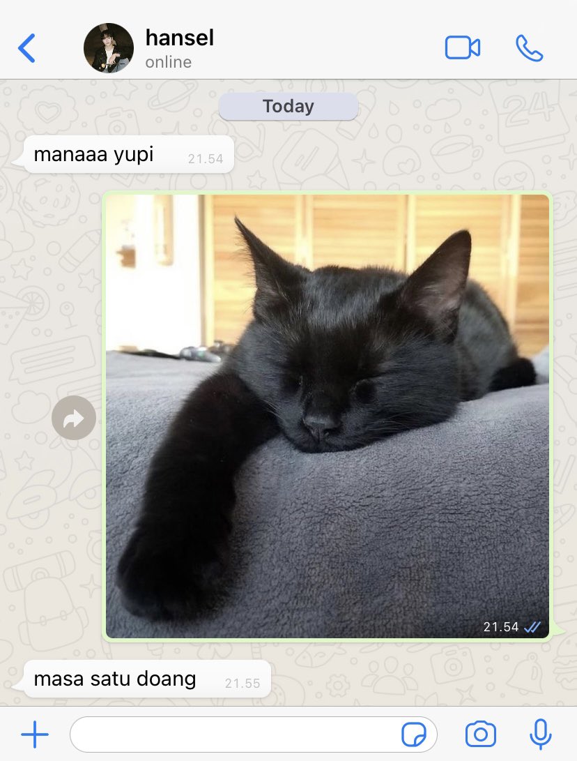 gialleries's tweet image. cat parents 
vernon three tweets au