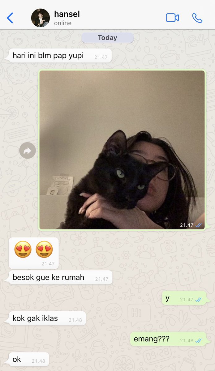 gialleries's tweet image. cat parents 
vernon three tweets au