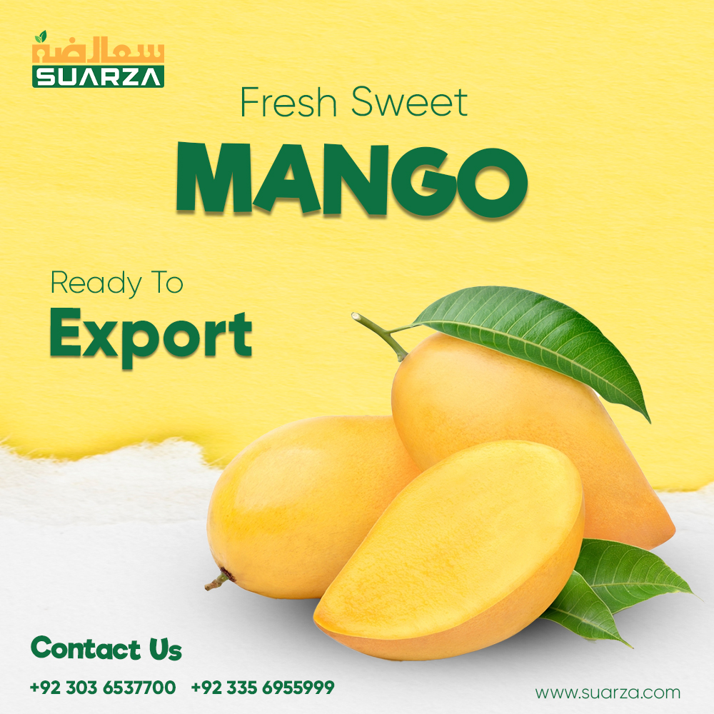 suarzagroup's tweet photo. Fresh Mango coming soon
Advance Booking
Contact Us
+92 335 6955999
+92 303 6537700
Order Online
https://t.co/4pDjXKl2aF
#Suarza #Mango #coming #soon #advance #Booking https://t.co/AoHvKR0Gdr