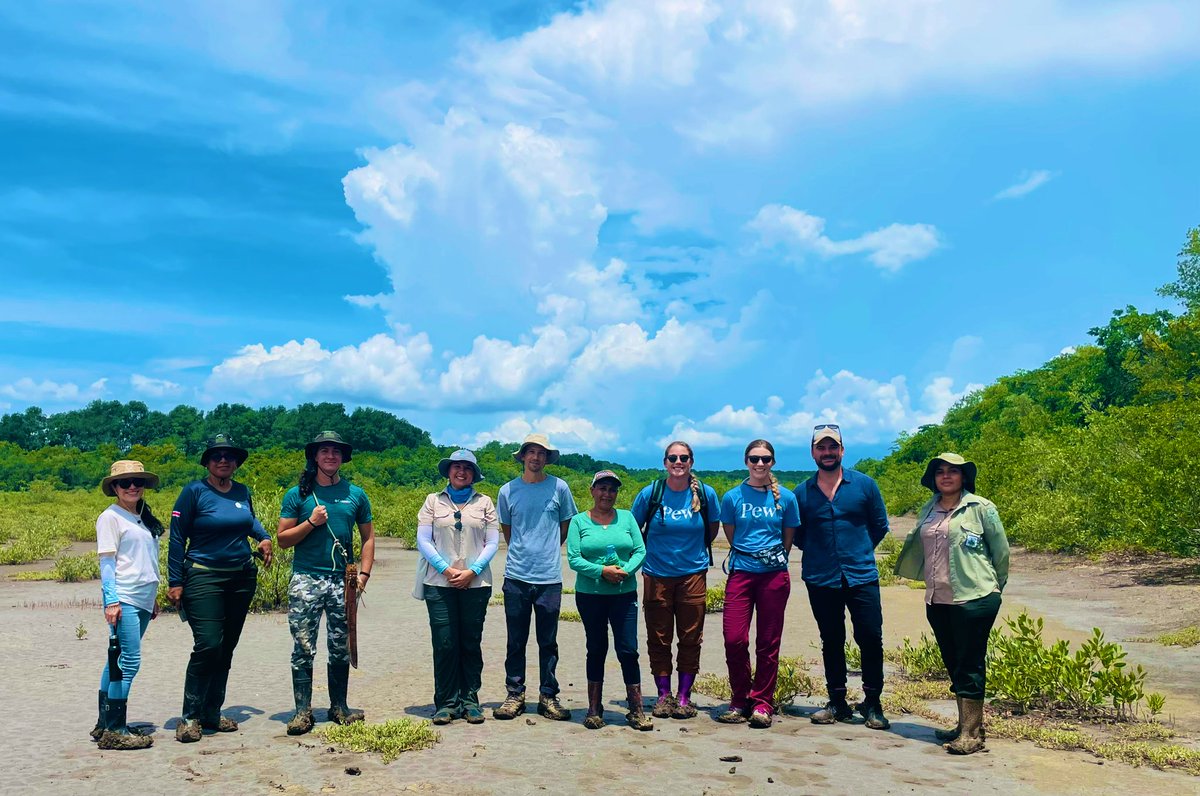 Tom Hickey tweet media