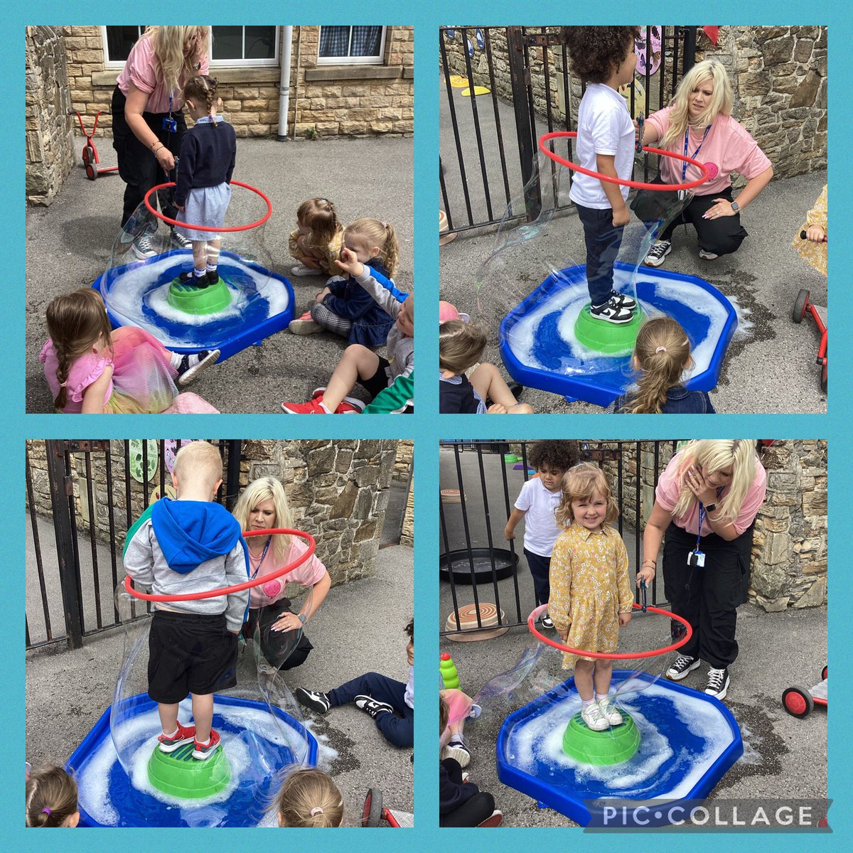 The Bridge tweet media