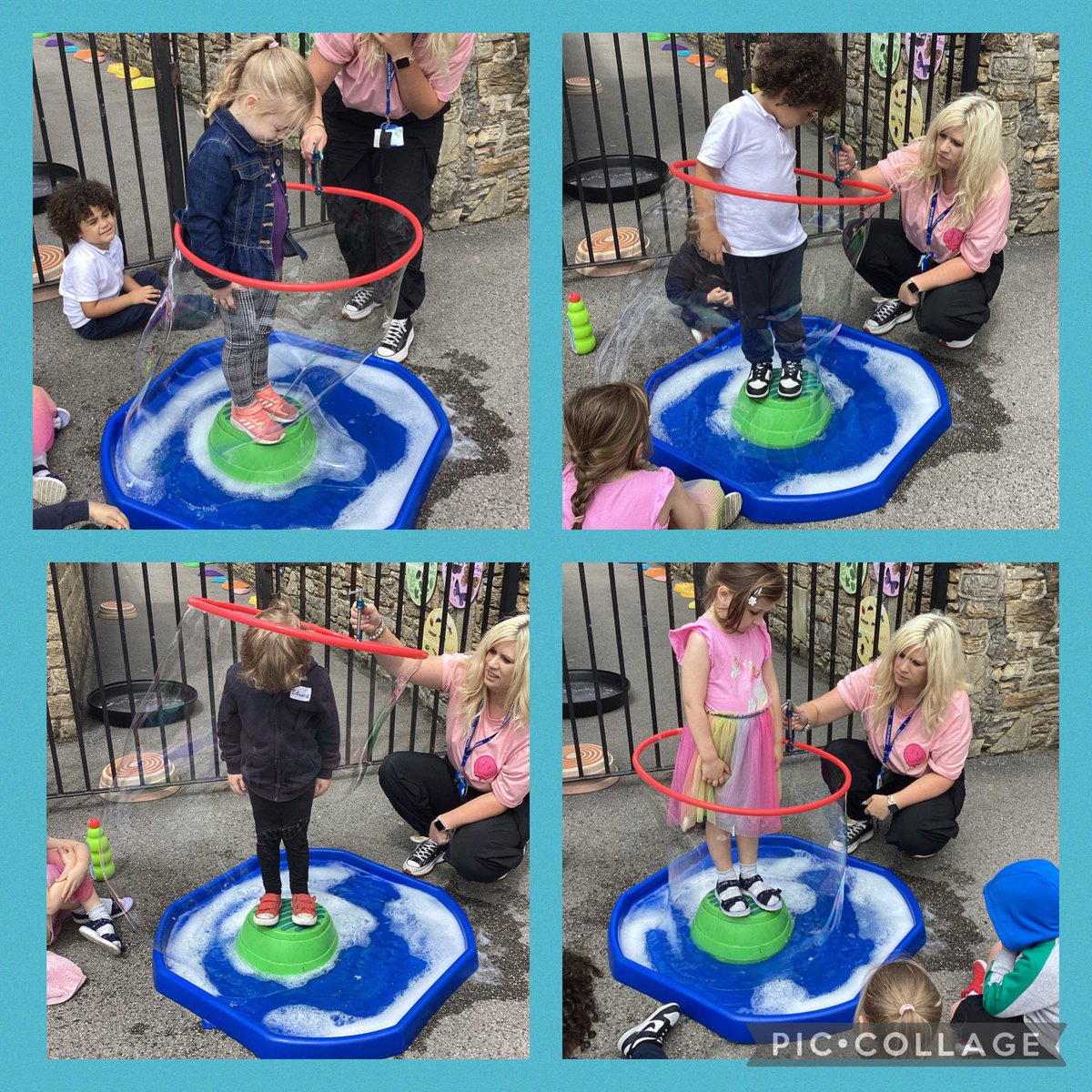 The Bridge tweet media