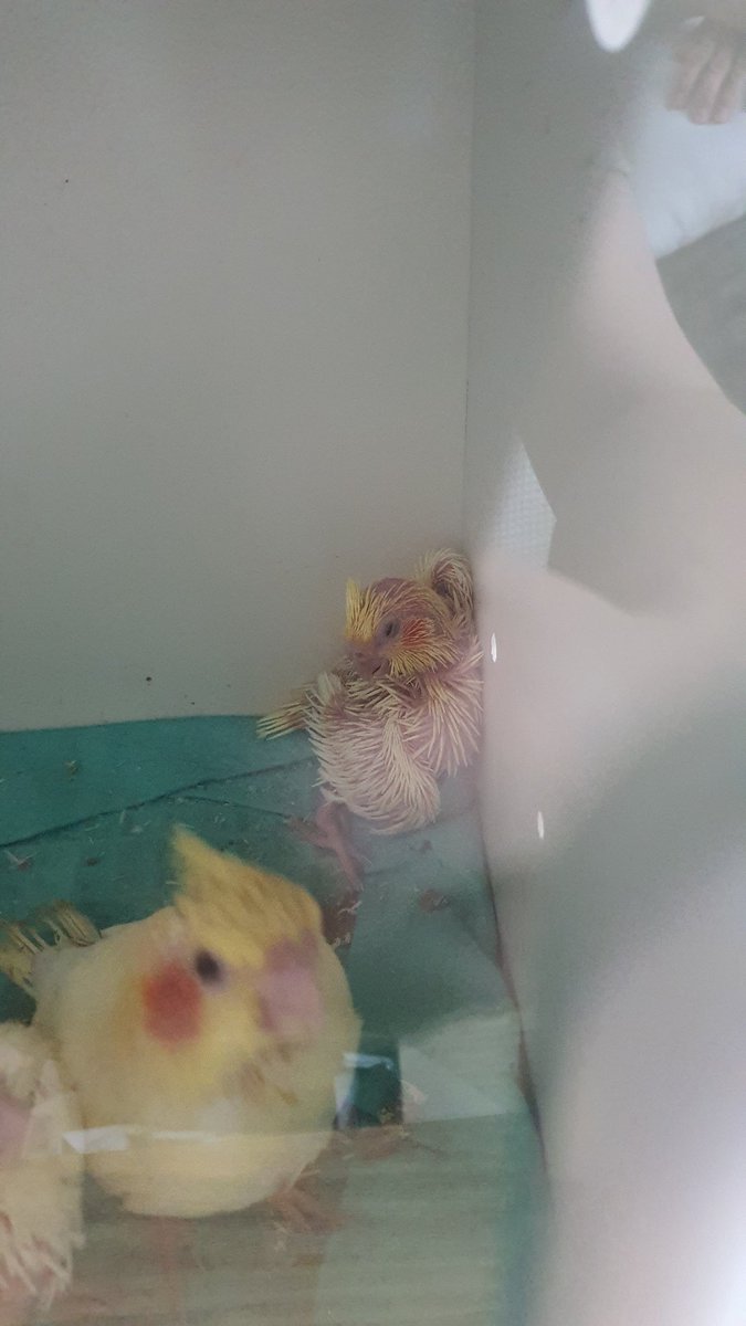 편안한 하고 합한 숙면자세