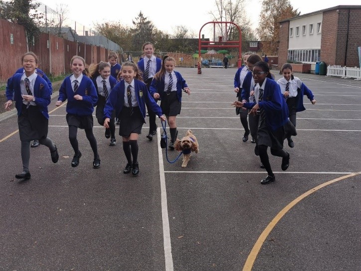 "The children know how important The Daily Mile is for their mental health" ❤️

<a href="/StTeresasHarrow/">St Teresa’s Catholic Primary School & Nursery</a> shared the positive impact The #DailyMile has had in their school &amp; nursery since 2018! Even school dog Rua regularly participates! Read the full story here➡️ rb.gy/1y80q