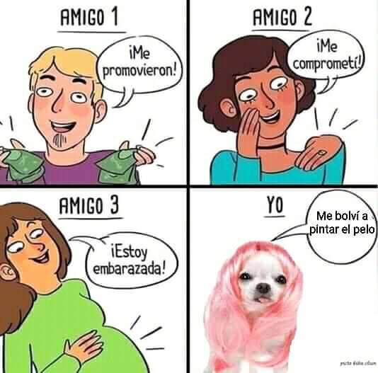 Conshelalora tweet media