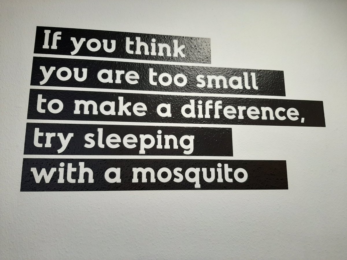 Mary Greene tweet media