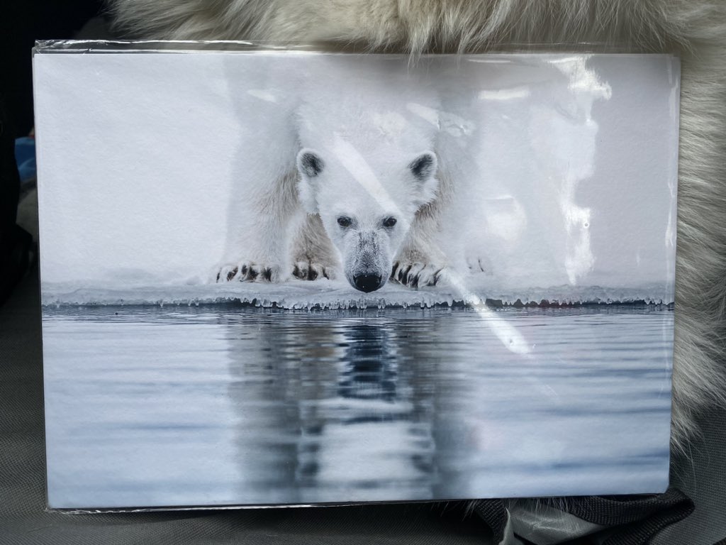 Guillaumemk.eth tweet media