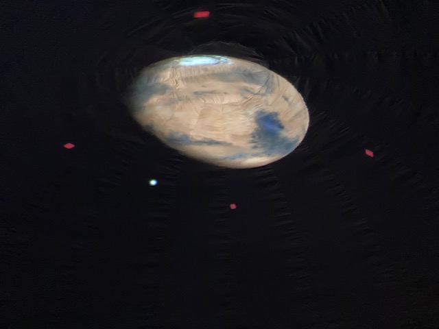 Myrtle Park Primary tweet media