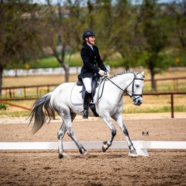 slohn's tweet image. 🐴 That Feeling When - - mailchi.mp/57140b5fb716/t… Everything is perfect.

#horsemanshipradio #horseman #horserider #equestrian