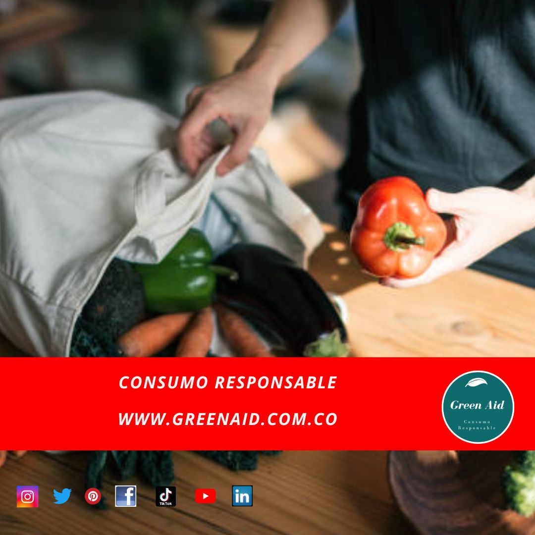 GreenAid10's tweet photo. El artículo completo en nuestro Blog

https://t.co/b3DWa35RNr. 
 Juntos podemos ayudar  #CuidaElPlaneta #NoMasPlastico #DesechablesCompostables #Usacompostables #dejatuhuella #greenaid @franciscoactiv2 https://t.co/etVbqhW59Q