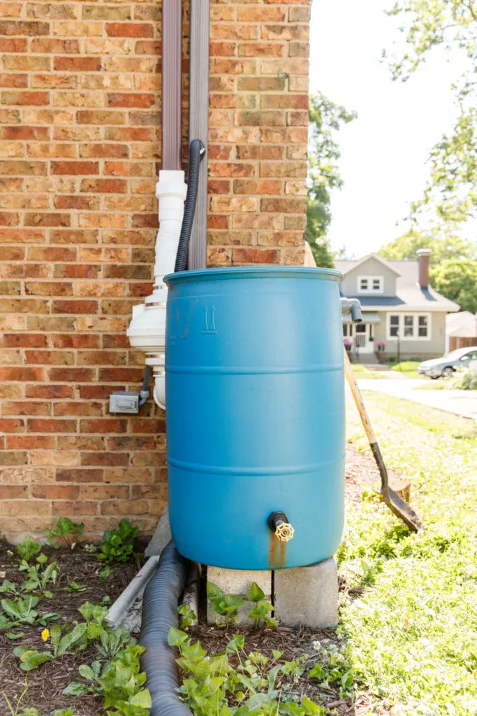 Raindrops are not falling on our heads much, but we can help you make the most of the rare showers. Come to our upcoming rain barrel workshop, and the next time it rains, you can collect it, and use it to water your plants! #watershedwednesday Register -> buff.ly/3XAm86r