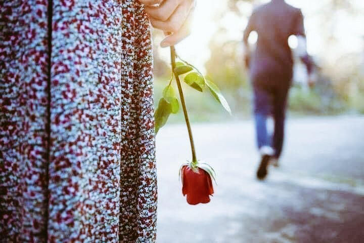 ✍️🏻

Ne kinim, ne nefretim yok sana.
Allah güller sersin yoluna .

Ama tek bir gülü bile koklamayı nasip etmesin sana

#Öylesine    🥺⏳️