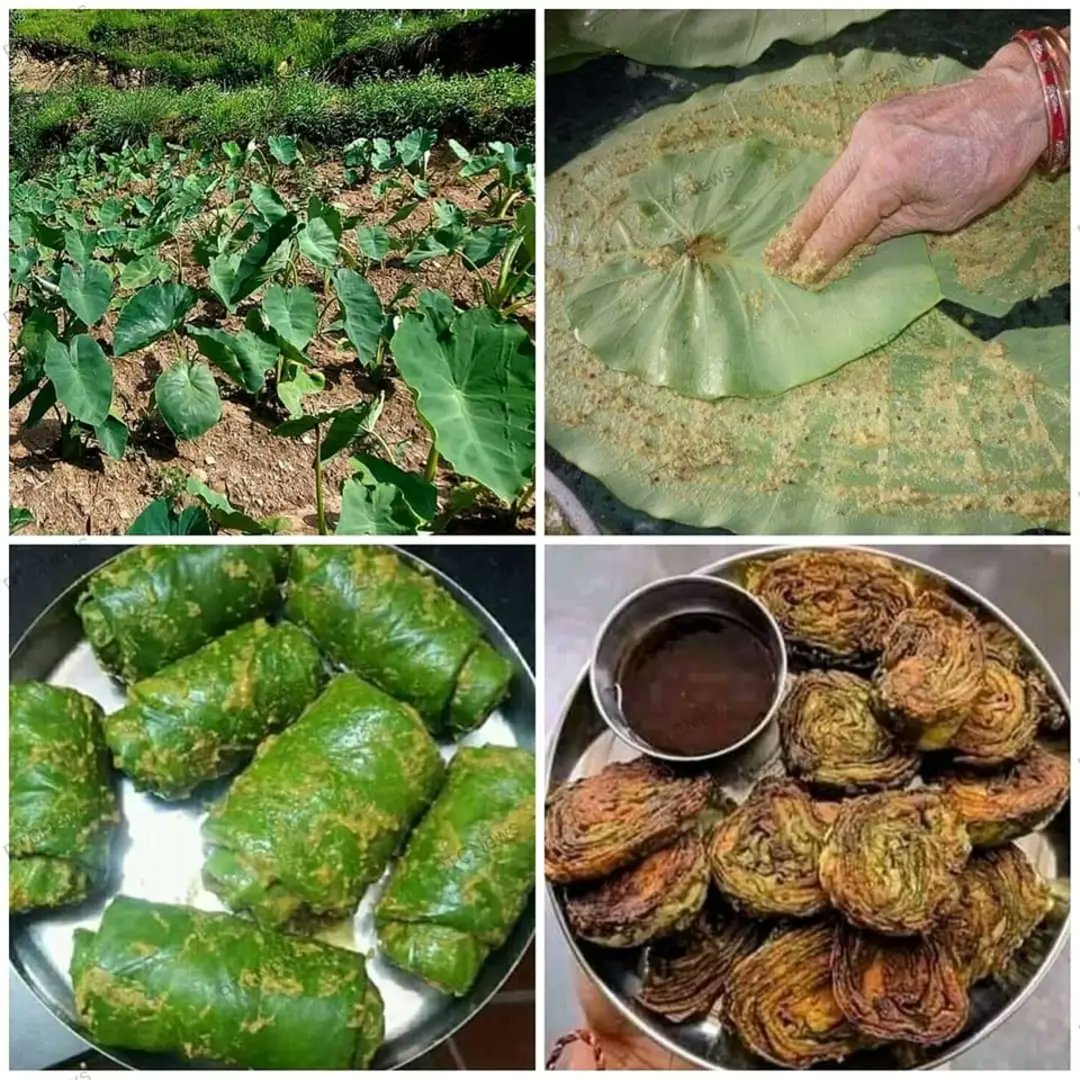 Vatsala Singh tweet media