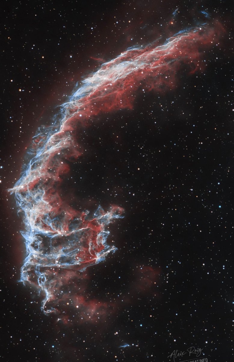 The BAT Nebula 🦇