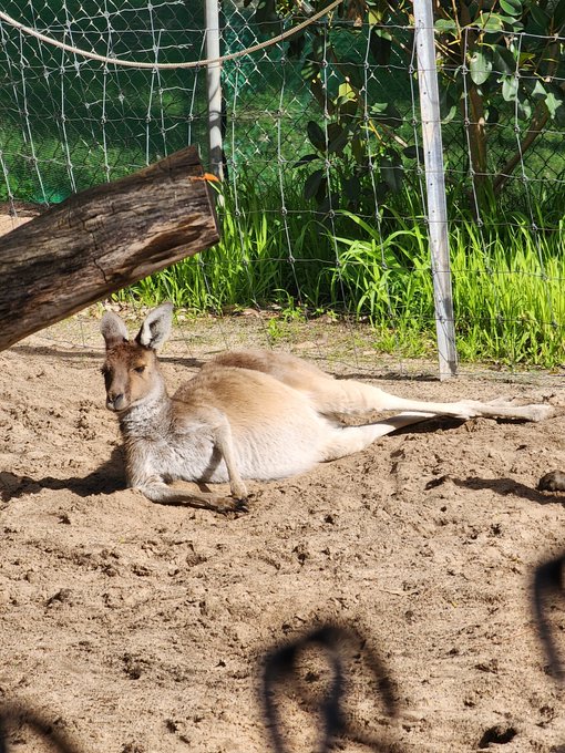 Met a chill dude today https://t.co/MAErQTSxP3