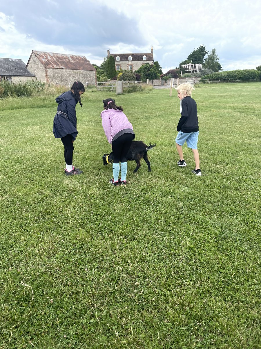 Mrs Stiles tweet media