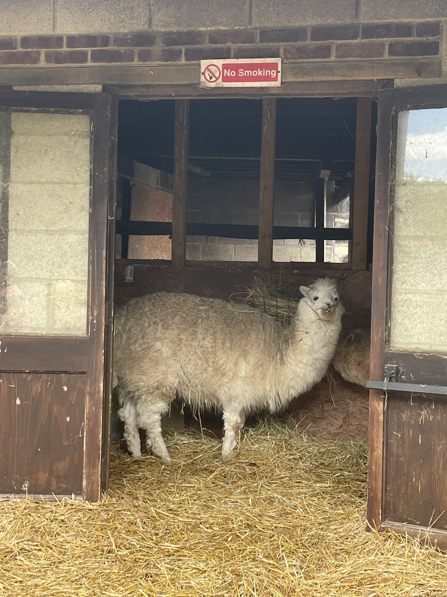 Mrs Stiles tweet media