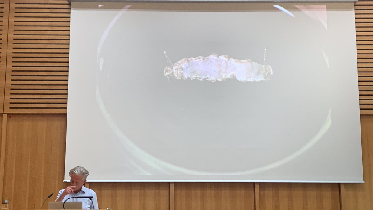 NWO_MicroLabs's tweet photo. Our PI Eric Jorink introducing our project to the @MPIWG today at a workshop organized by Katja Krause and her Max Planck research group “Experience in the Premodern Sciences of Soul &amp; Body” https://t.co/om7oqvN49V