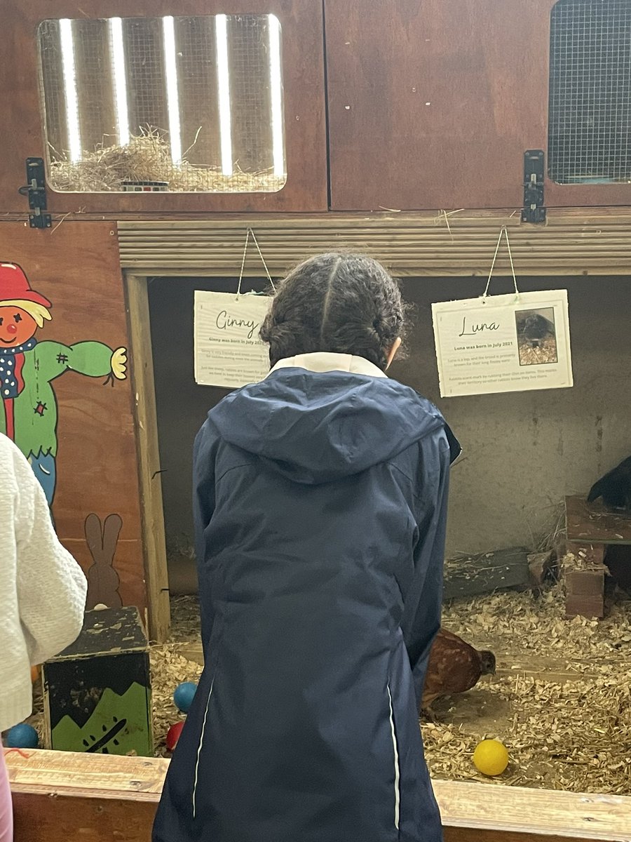 Mrs Stiles tweet media