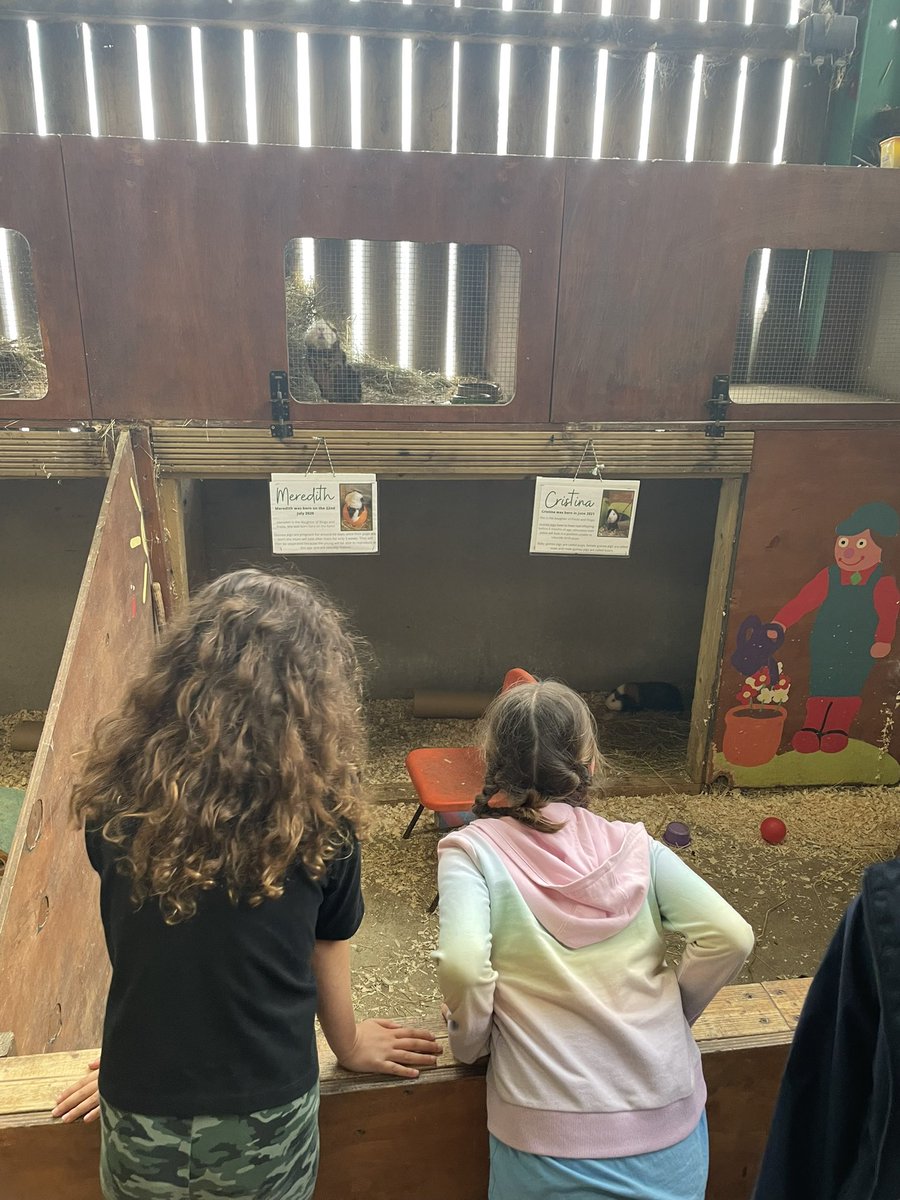 Mrs Stiles tweet media