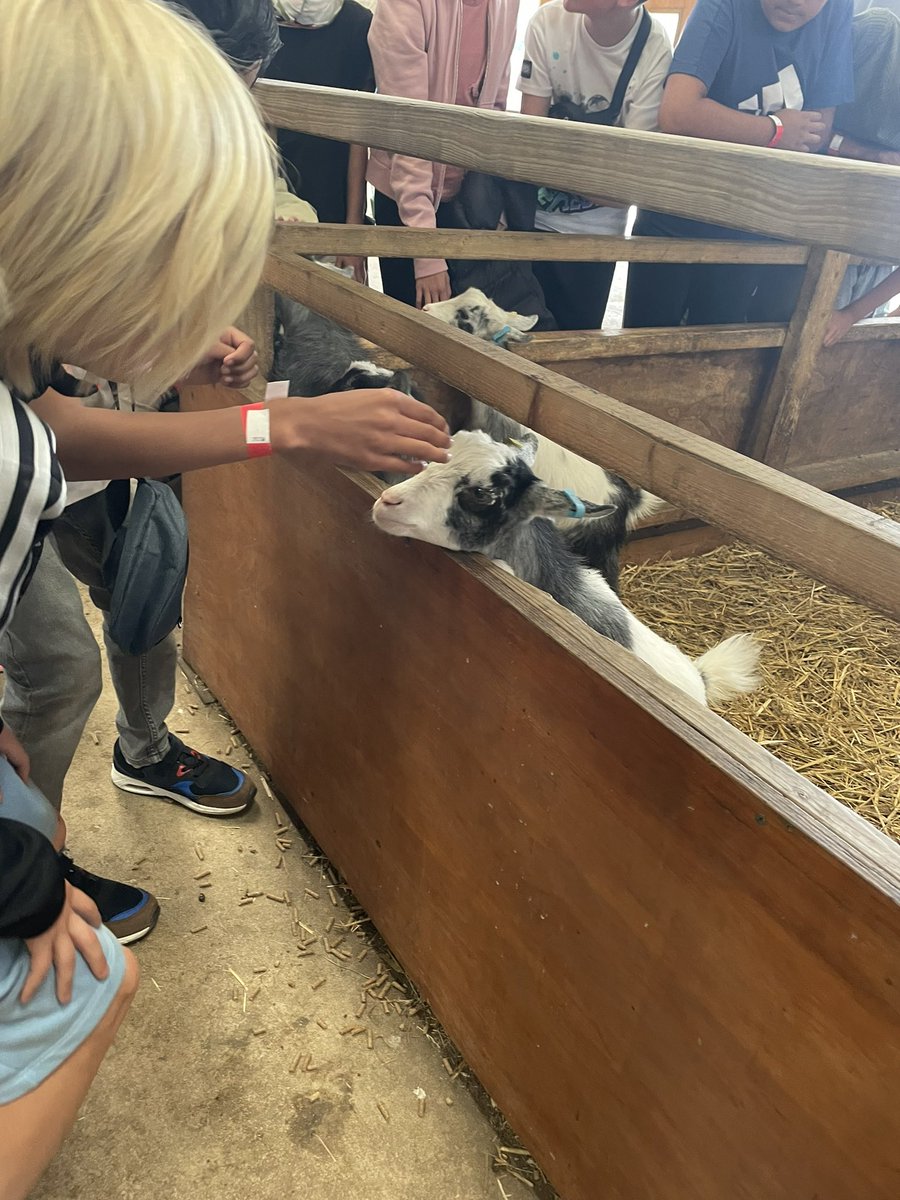 Mrs Stiles tweet media