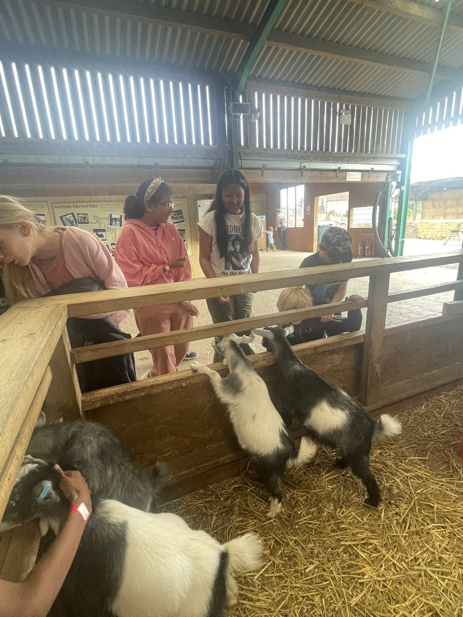 Mrs Stiles tweet media