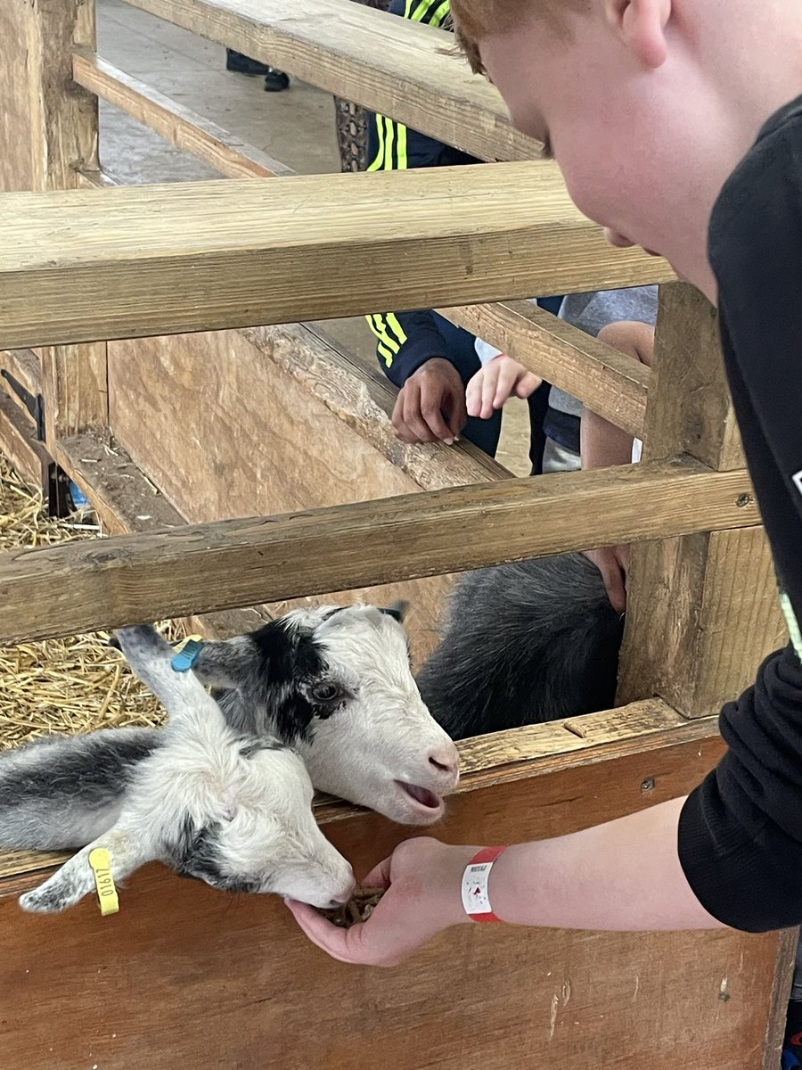 Mrs Stiles tweet media