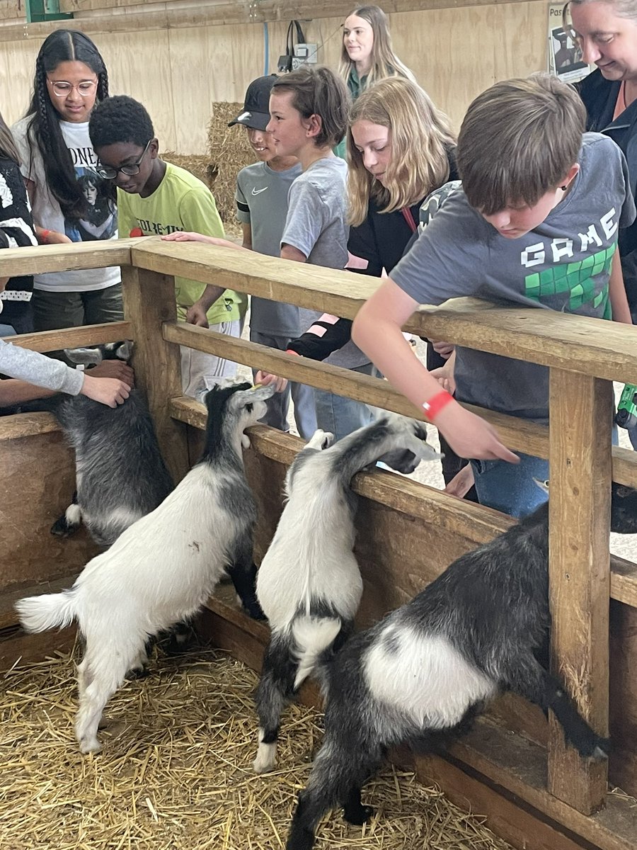 Mrs Stiles tweet media