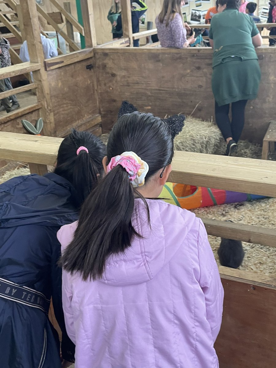 Mrs Stiles tweet media