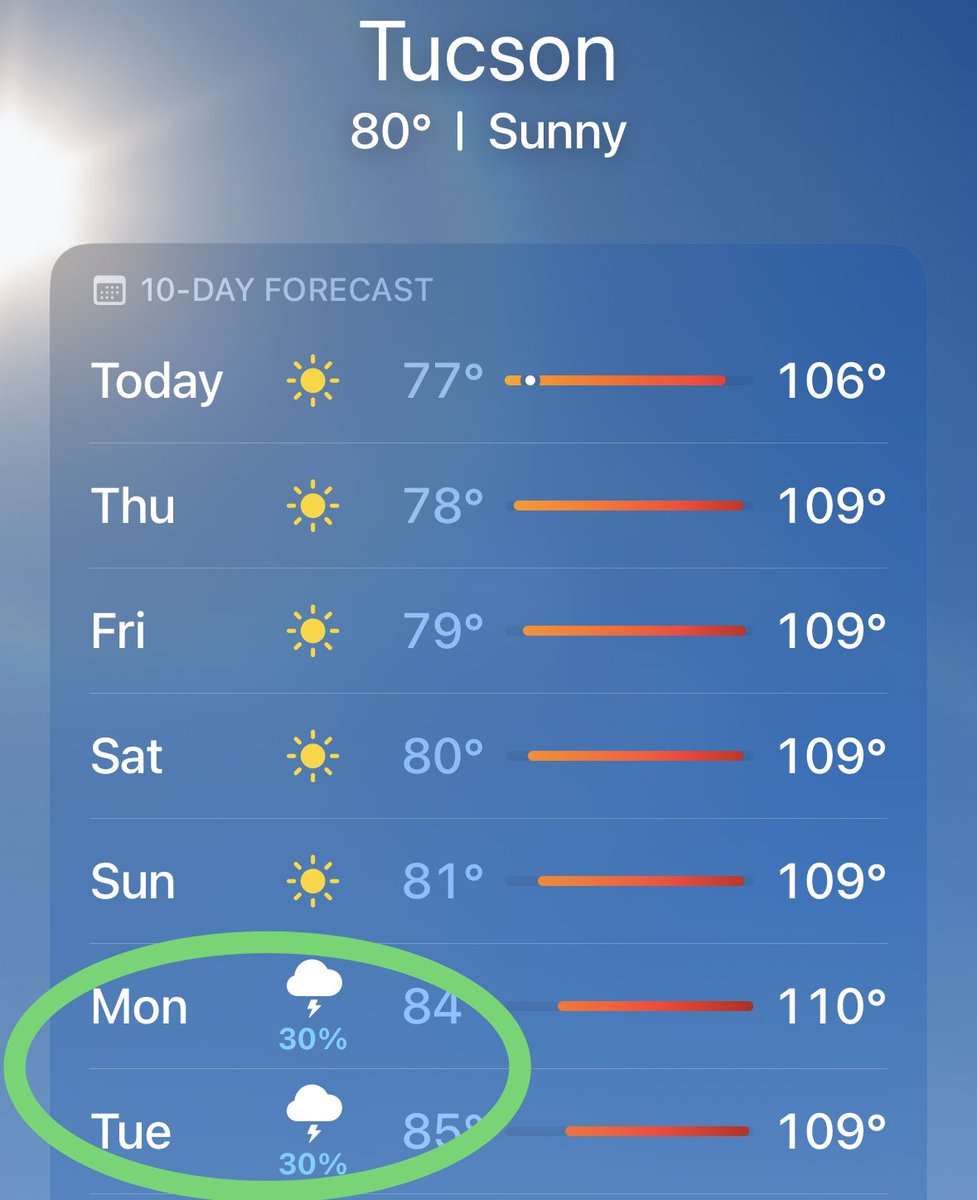 TucsonTomorrow's tweet photo. A reason to live. https://t.co/fMFBjZjWZJ