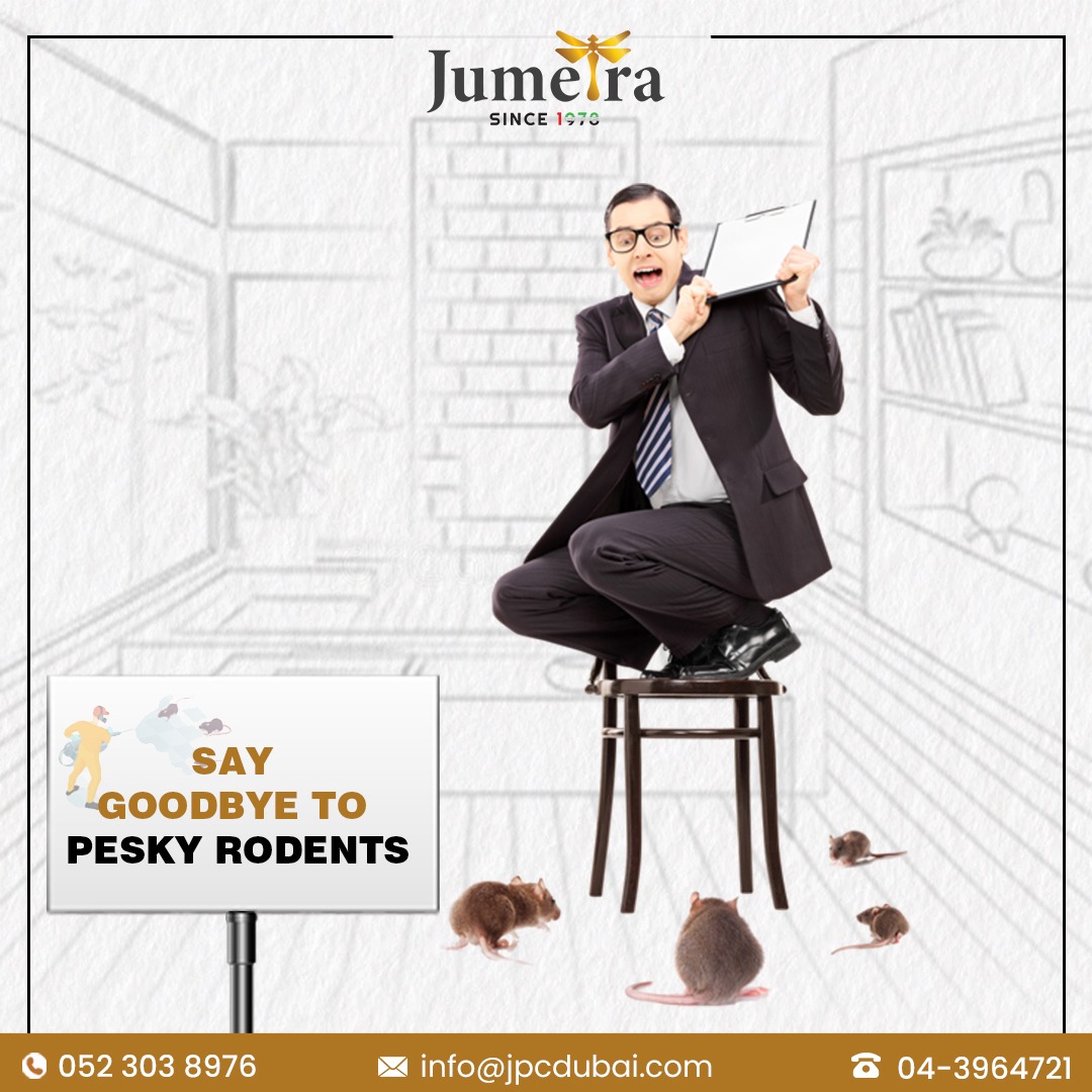 JumeiraServices's tweet photo. Are rodents🐁 making life difficult?😟
📞Call us to completely evacuate your properties from rodent infestation.

#PestControl #pestcontrolservice #rodentscontrol #rodents #pestcontrolservicedubai #dubai #pestcontrolsolution #jumeirapestcontrol #peaceofmind #jumeiraservice https://t.co/5zdUqCr7Qe