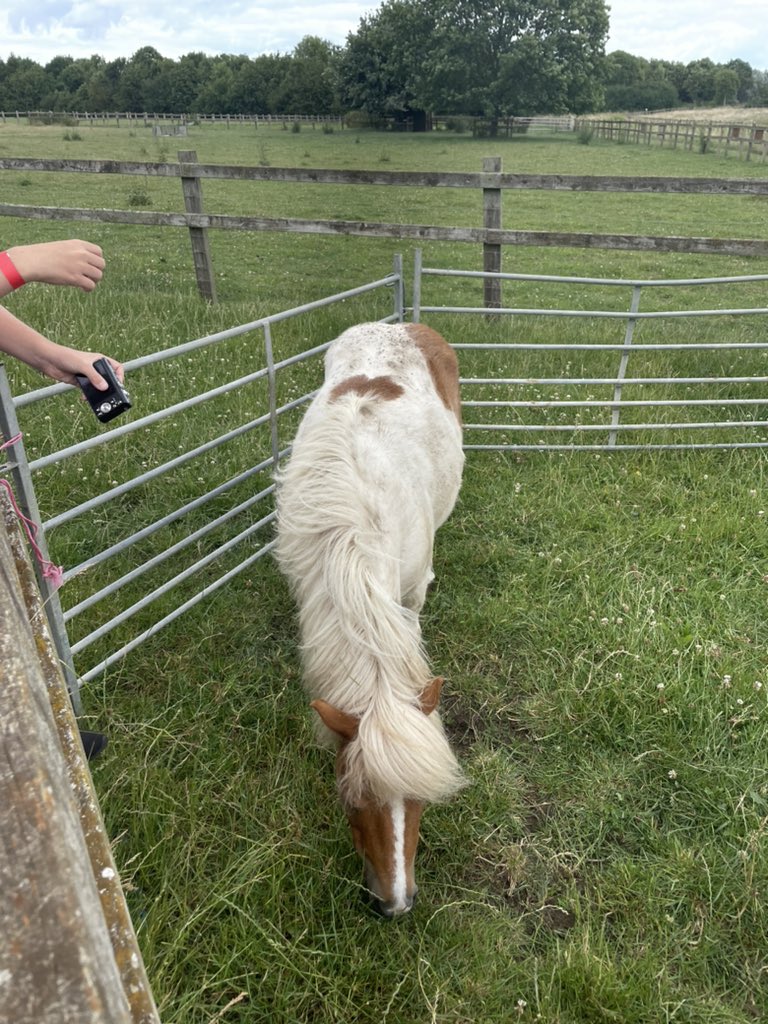 Mrs Stiles tweet media