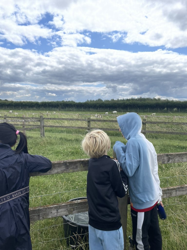 Mrs Stiles tweet media