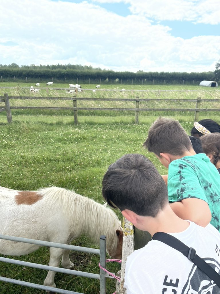 Mrs Stiles tweet media