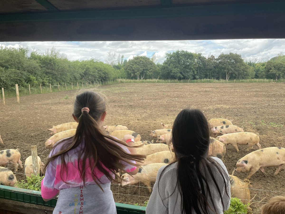 Mrs Stiles tweet media