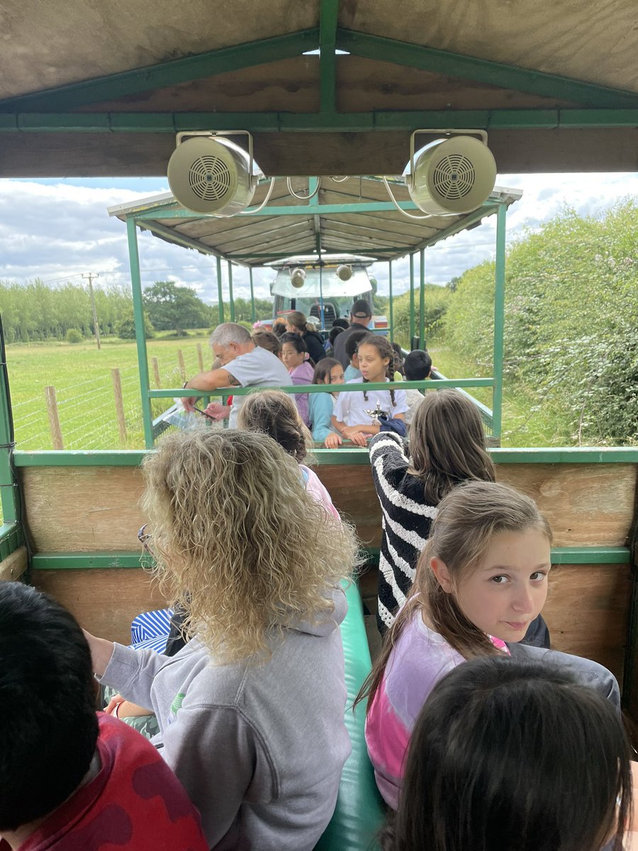 Mrs Stiles tweet media