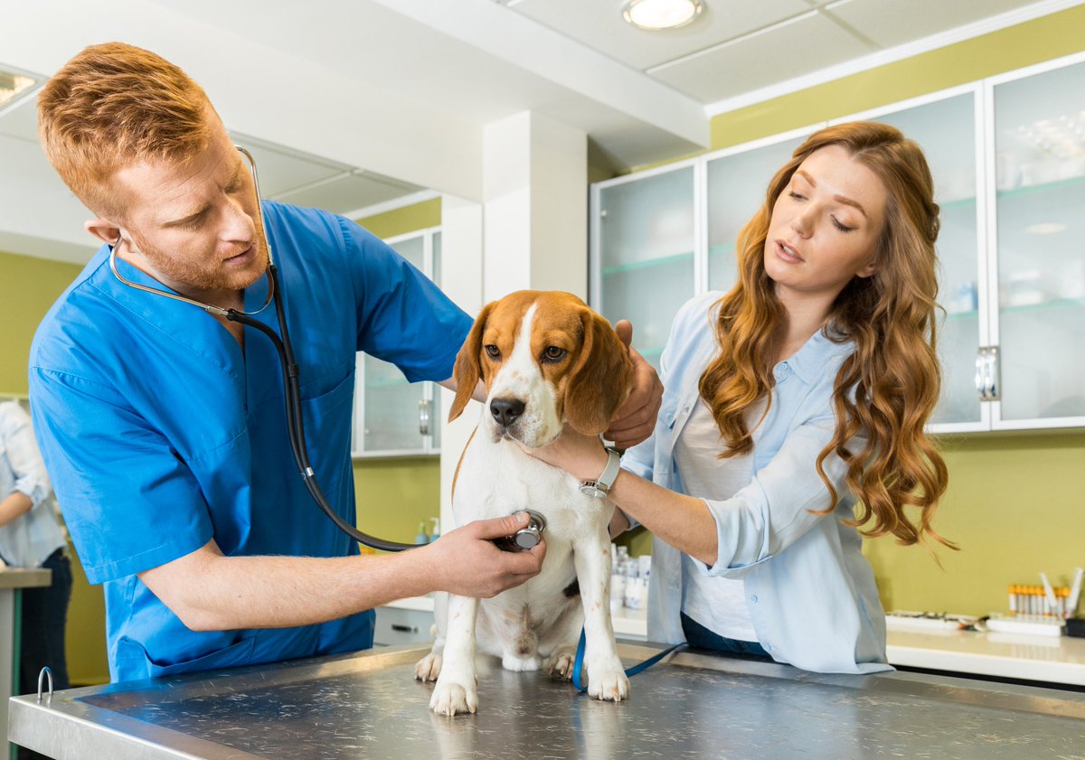 🎯 Are you Struggling to pay your Veterinary (Vet) or Surgery Bill for Dog or Cat? 24 Organizations that might be able to assist you. #VeterinaryBills #SurgeryAssistance #FinancialHelp #AnimalWelfare #PetCare #GoFundMe 🐾💙

➡️ thenfg.org/24-organizatio…

Good Luck!