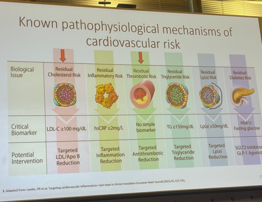 WeNurses's tweet photo. How many mechanisms for CVD risk do you know? #lipids
#hukconf
Prof Azfar Zaman https://t.co/nBveQAJK3l